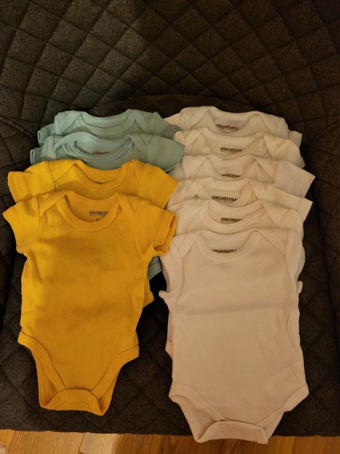 Lot 10 bodies