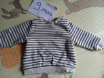 Lot 1 pull et 1 gilet 9 mois
