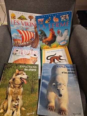 Lot de 14 livres découvertes