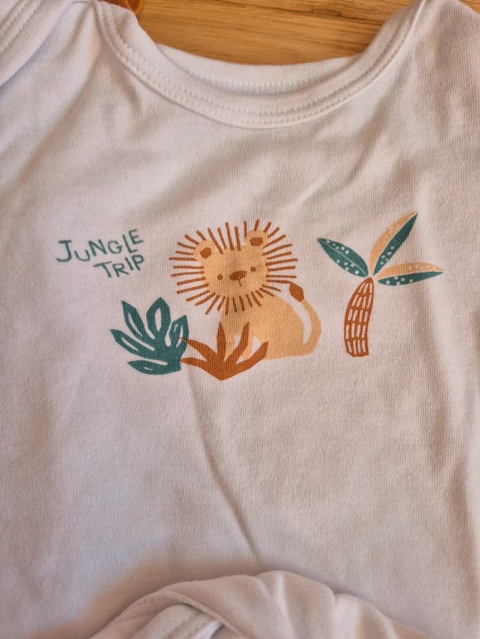 Lot de 5 bodies - photo numéro 2