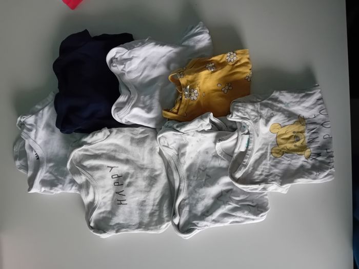 Lot bodies