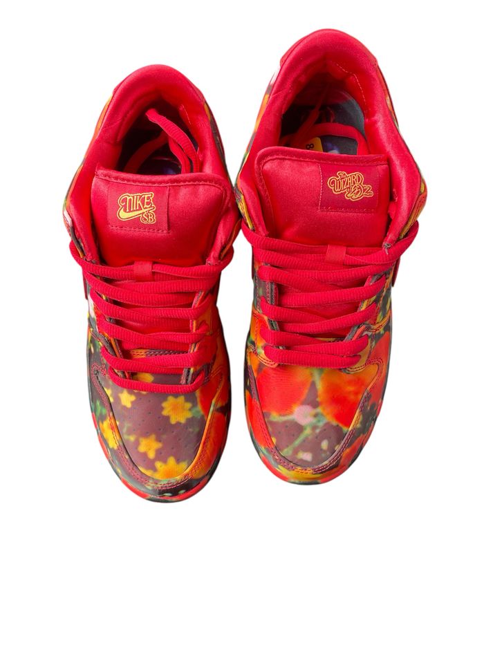 Nike Dunk SB slow pro woo QS (The wizard of OZ) - photo numéro 2