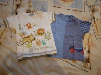 Tee shirt MC du 6 mois