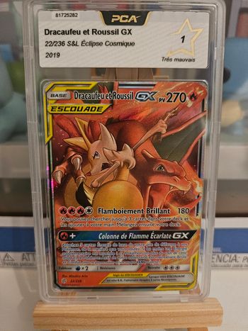 Dracaufeu et Roussil PCA1