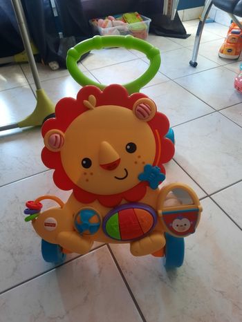 Pousse-pousse lion