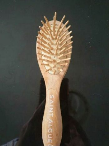 Brosse Saint Algue