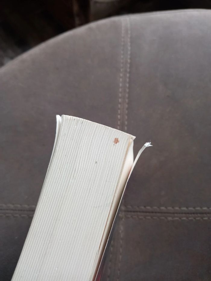 La forêt des mânes J.C Grangé - photo numéro 4