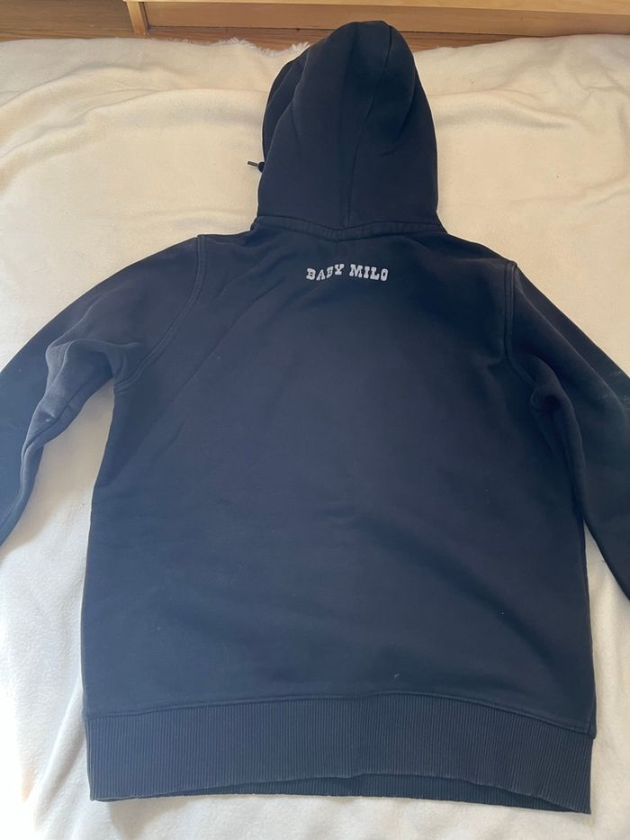 Pull baby Milo 12 ans - photo numéro 2