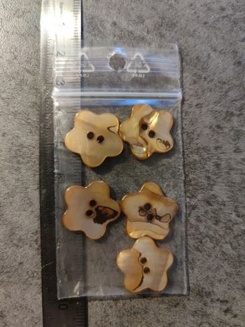 lot de 5 boutons en nacre / marron / env 1.5 cm
