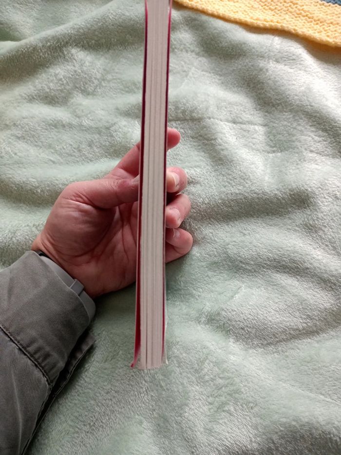 Livre de poche le roman de morlange - photo numéro 3