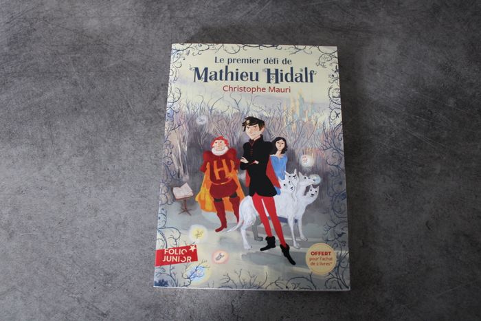 Le premier défi de Mathieu Hidalf