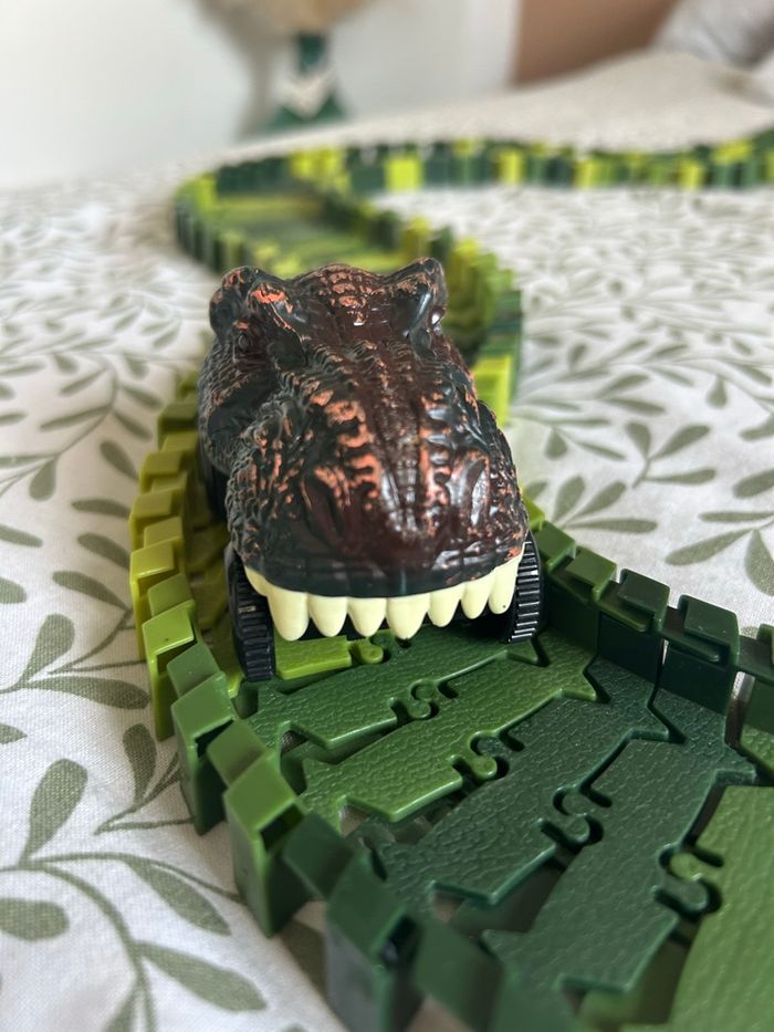 Circuit dinosaures - photo numéro 6