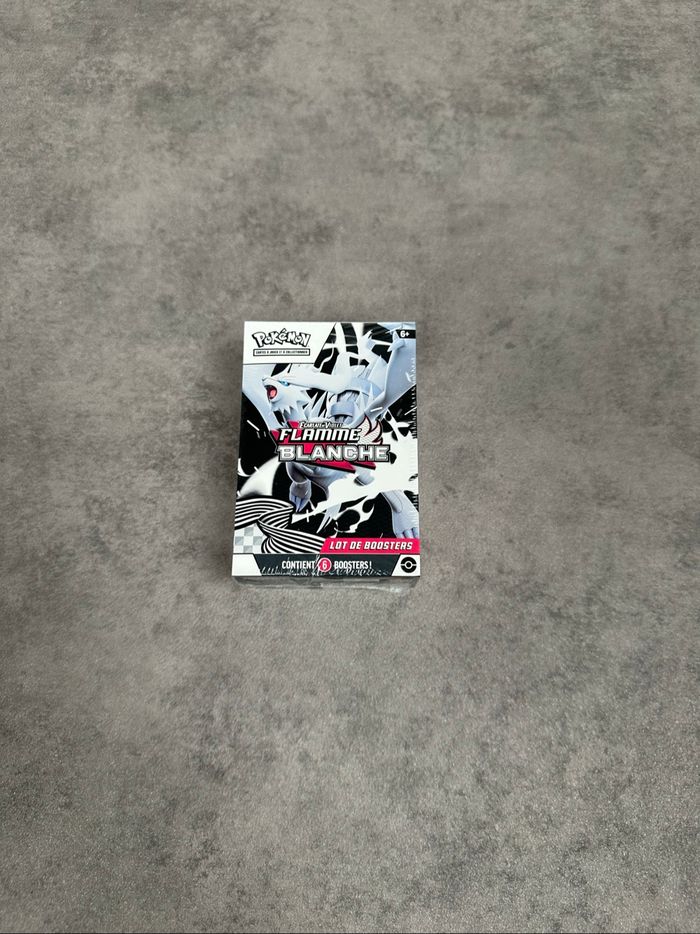 Pokémon foudre noir et flammes blanche - photo numéro 7