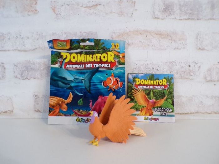 Dominator - Animal des Tropiques - Oiseau tropical (J10)