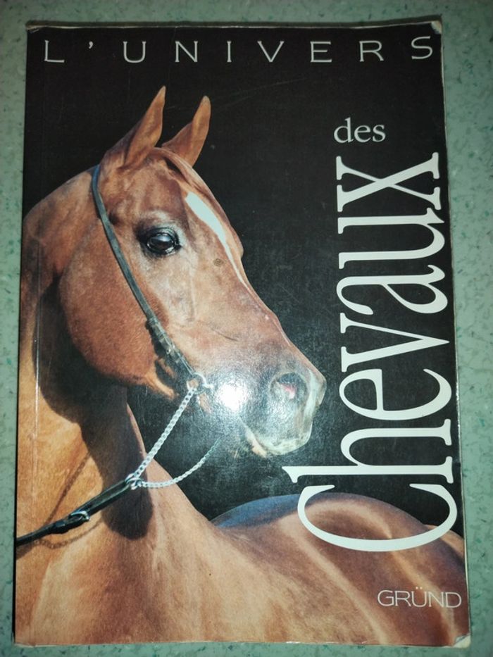 L'univers des chevaux.