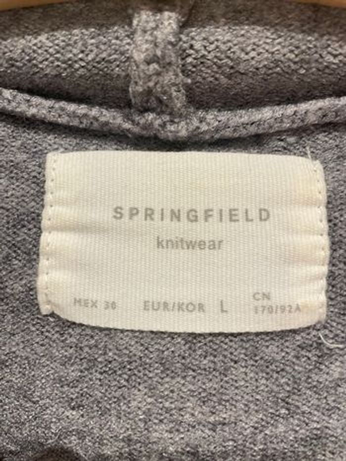 Pull à capuche Springfield - photo numéro 3