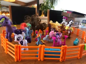 Enclos petit poney