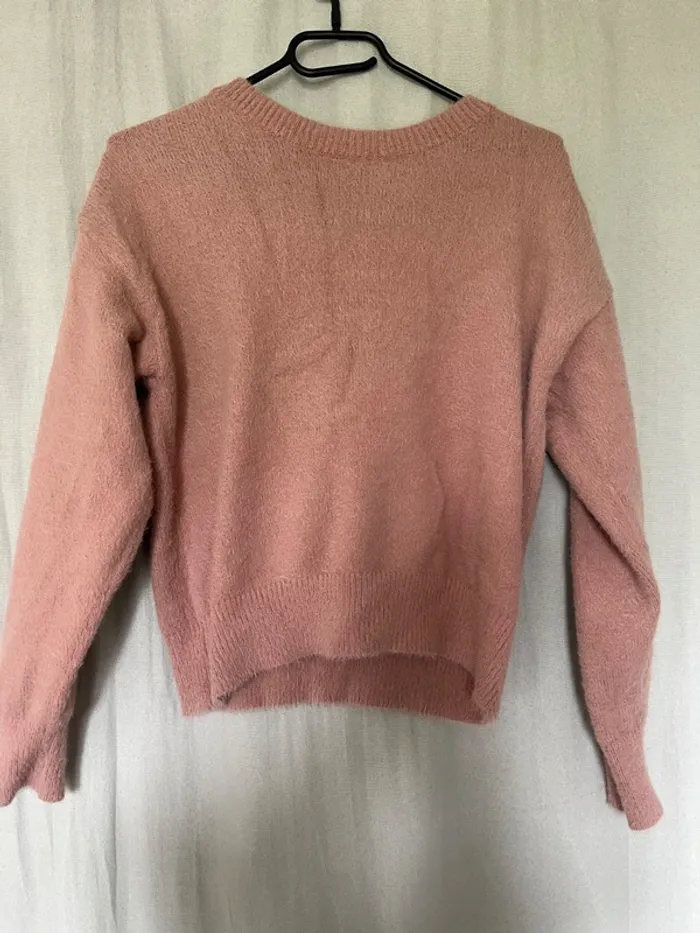 Pull dos nu - photo numéro 4