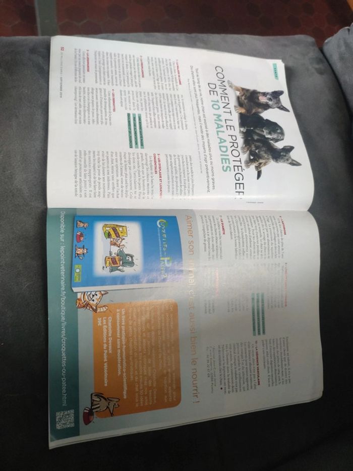Magazine 30 millions d'amis numéro 376 septembre 2019 - photo numéro 9