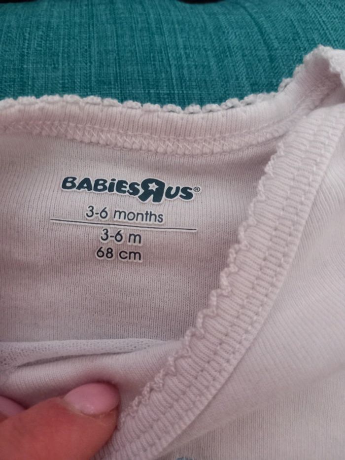 Lot bodies - photo numéro 6