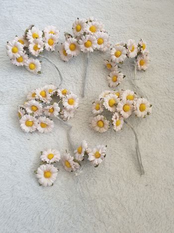 Ensemble de 5 bouquets de Marguerites neuf