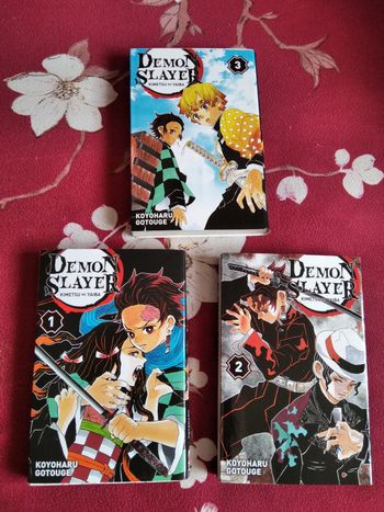 Lot de trois mangas 