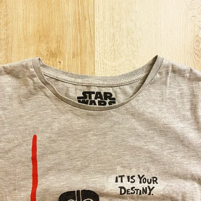 Star Wars Darth Vader T-Shirt Destiny Gris Homme Exclusive Collection Geek (Taille M) - photo numéro 5