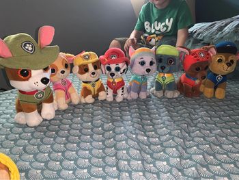 Lot peluche ty pat patrouille