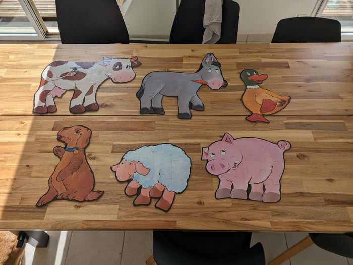 Puzzle géant - photo numéro 3