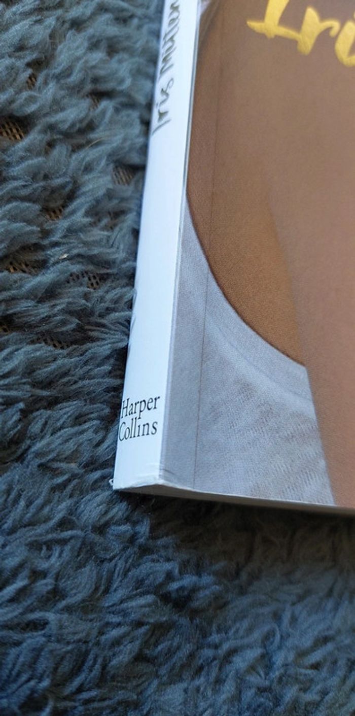 Iris Mittenaere - Toujours y Croire - photo numéro 11