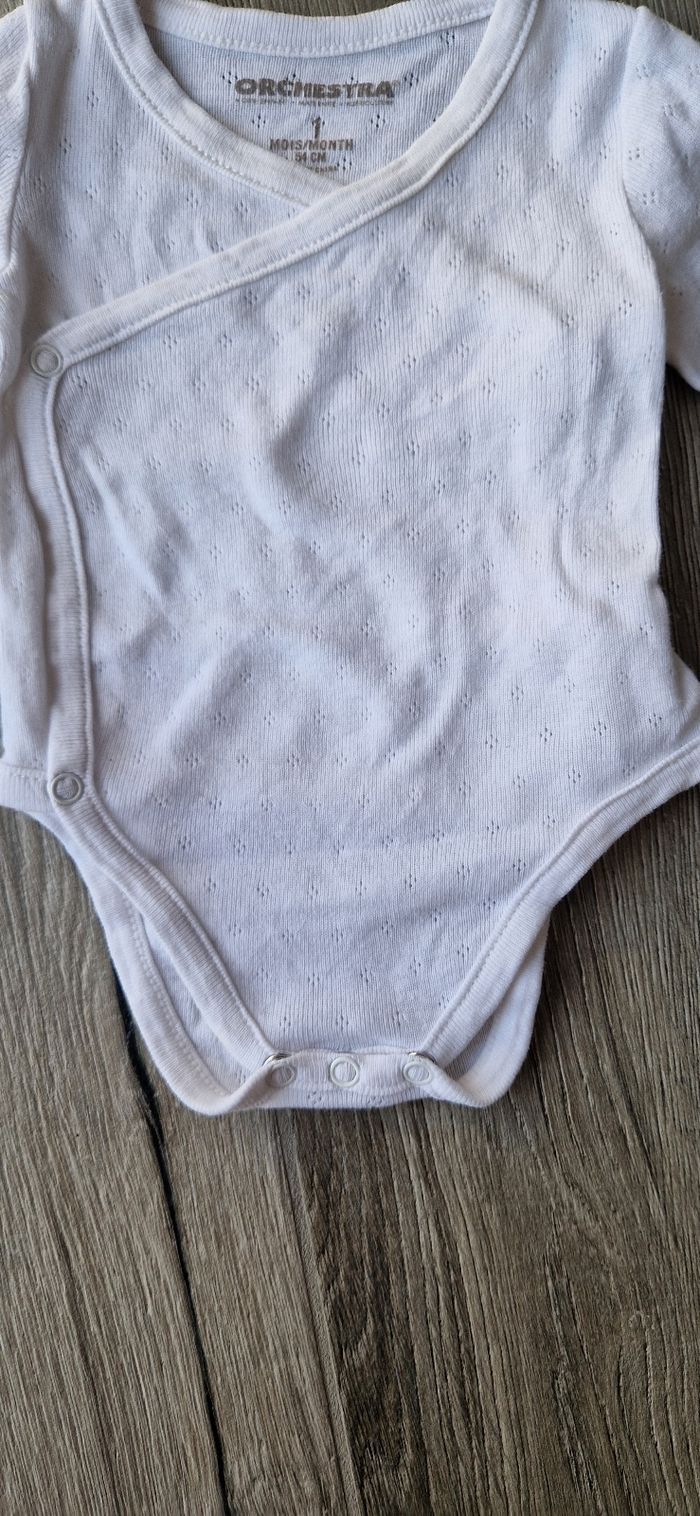 Lot 2  bodies - photo numéro 4