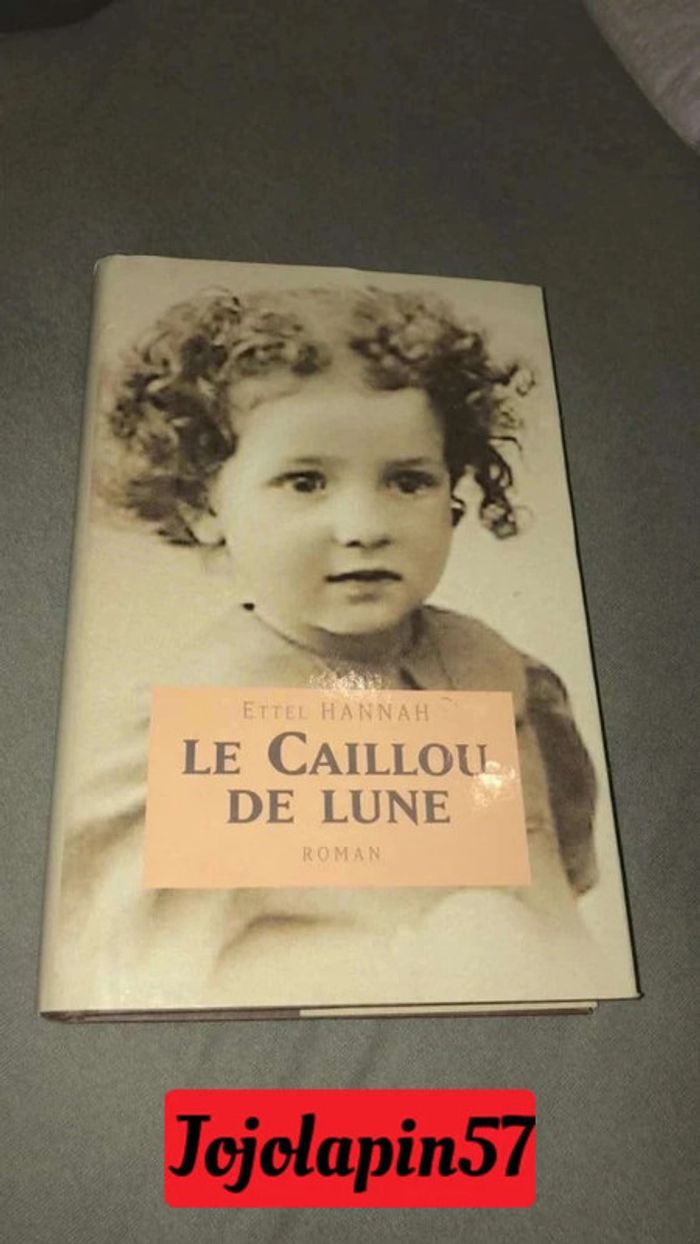 Livre Le caillou de lune