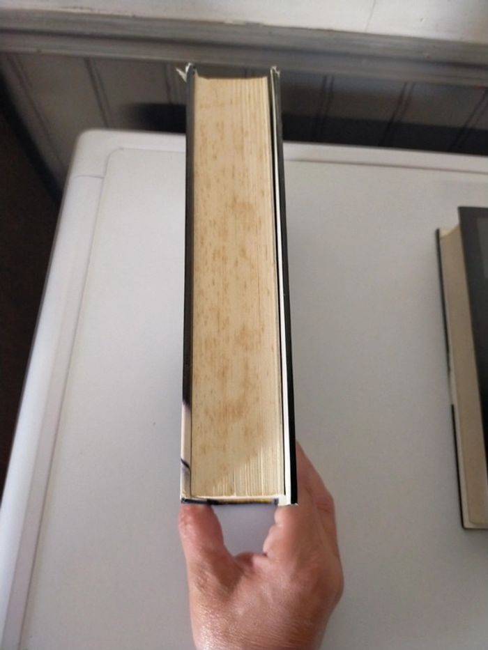Lot de 2 livres Paul sulizer - photo numéro 3