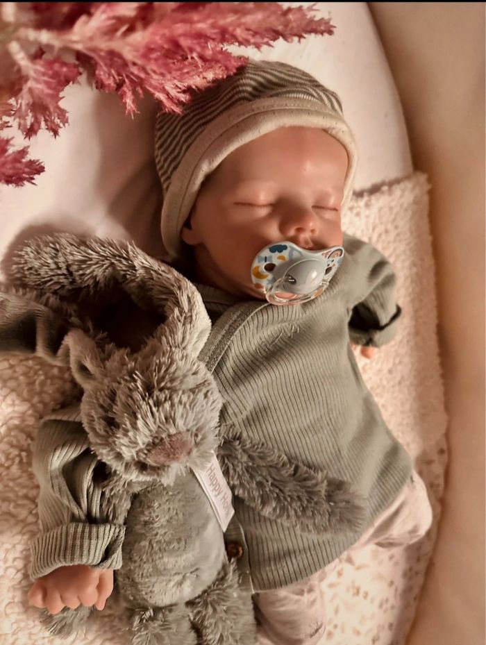 Reborn Poupée - photo numéro 10