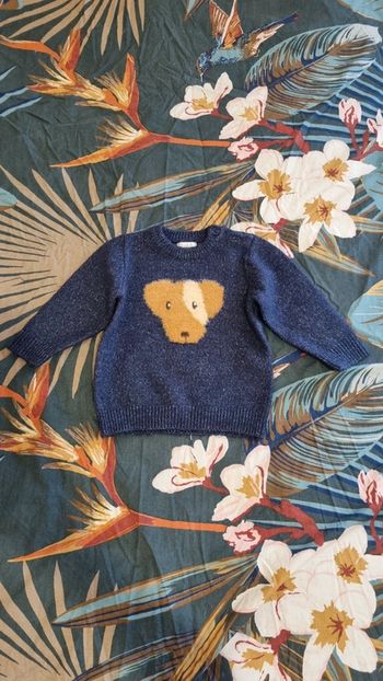 Pull chaud chien 6 mois 68cm