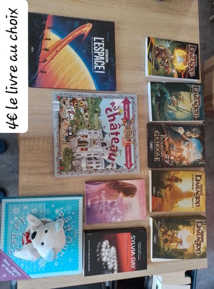 Livres - photo numéro 10