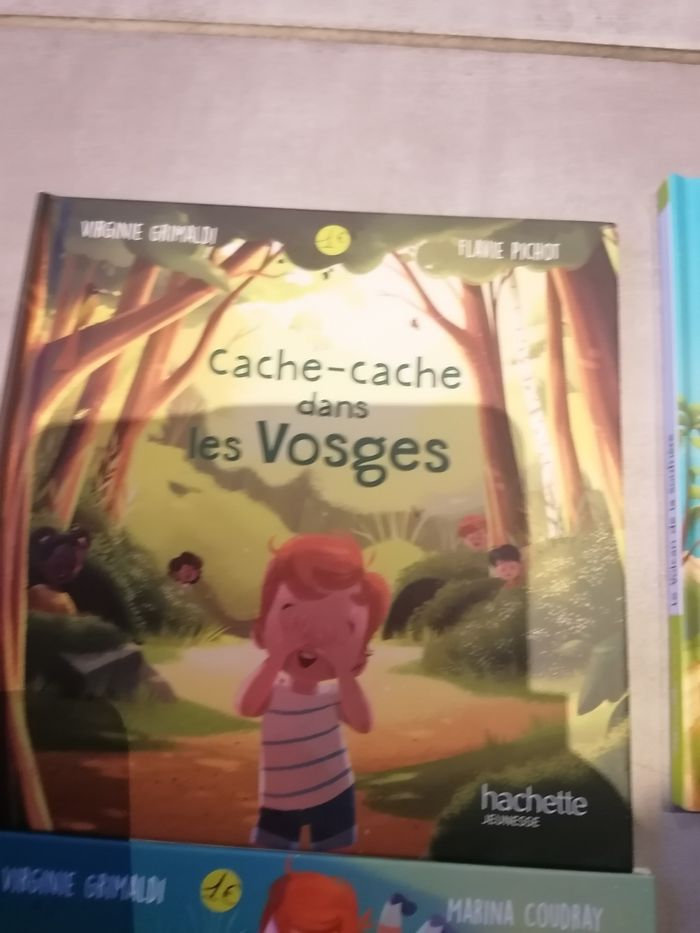 Livres mcdo les merveilles de France - photo numéro 5