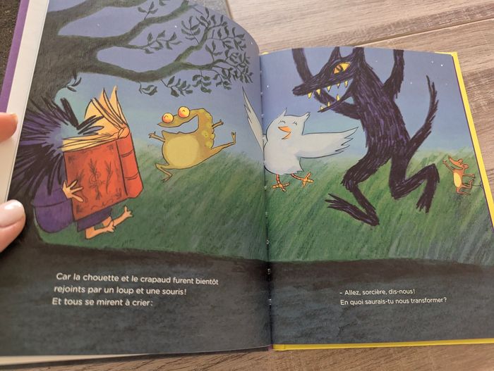 Livre carabinette la petite sorcière - photo numéro 3