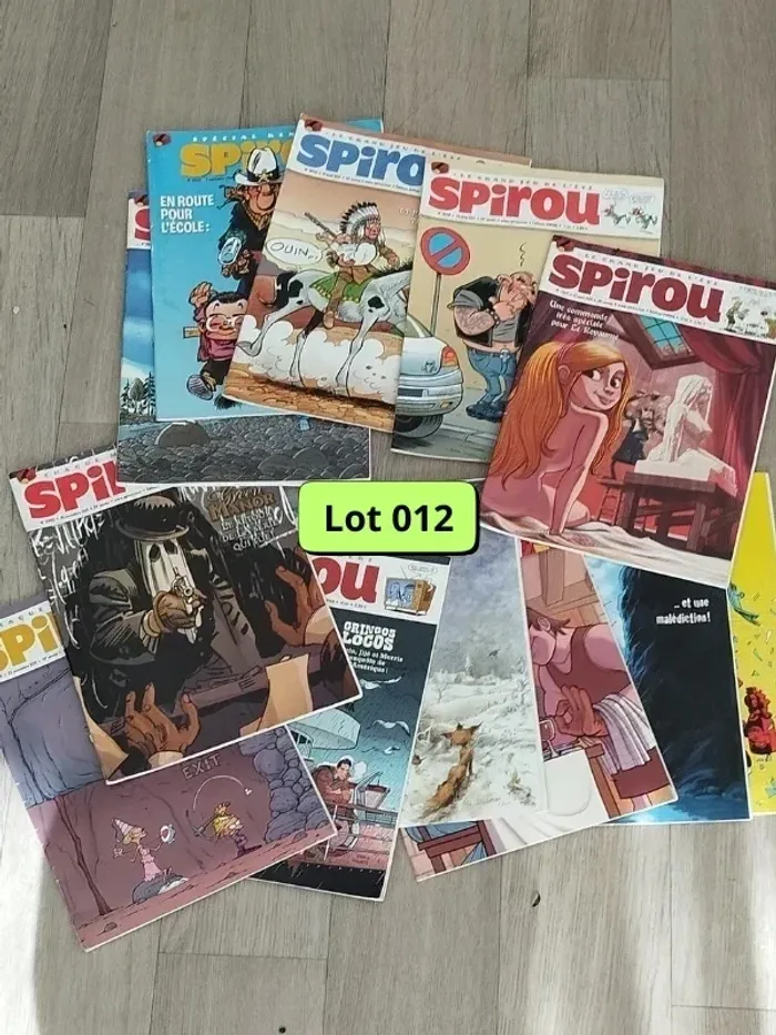 Lot de 12 magazines SPIROU année 2011 L012