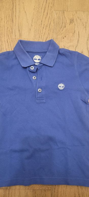 polo Timberland