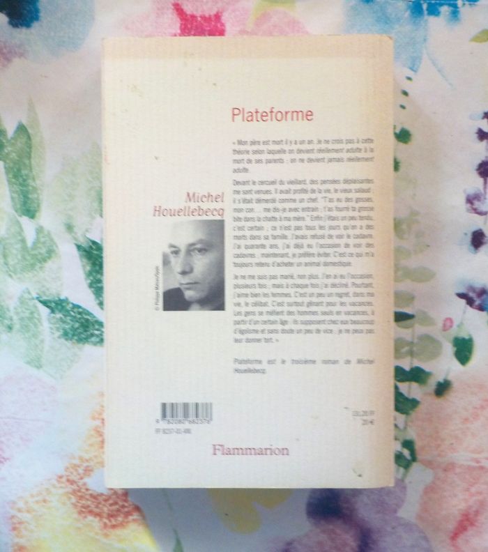 PLATEFORME de Michel HOUELLEBECK Ed. Flammarion - photo numéro 3