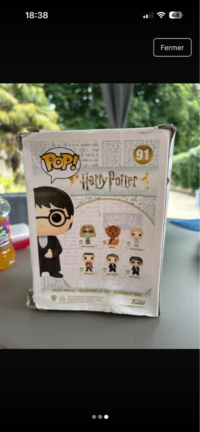 Pop Harry Potter - photo numéro 3