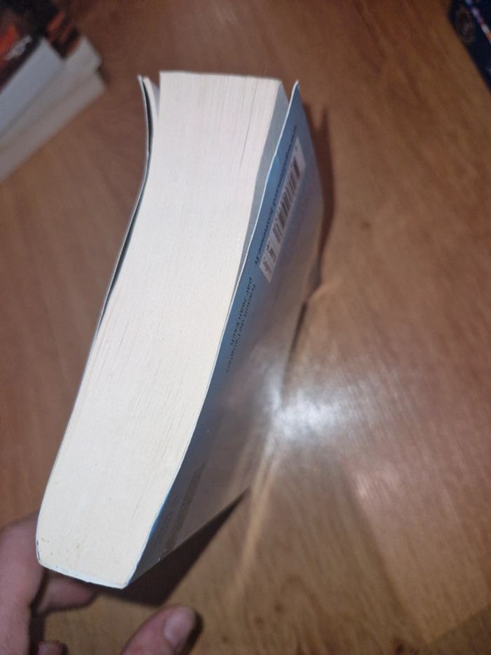 Philippe Pullman / a la croisée des mondes 1 / les royaumes du nord - photo numéro 7