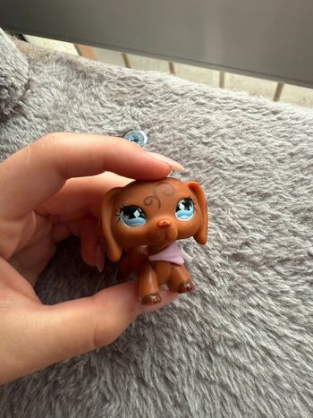Petshop teckel