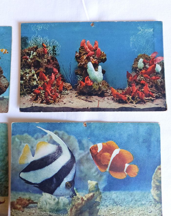 Lot 5 Cartes postales anciennes CPA Aquarium de Monaco - photo numéro 3