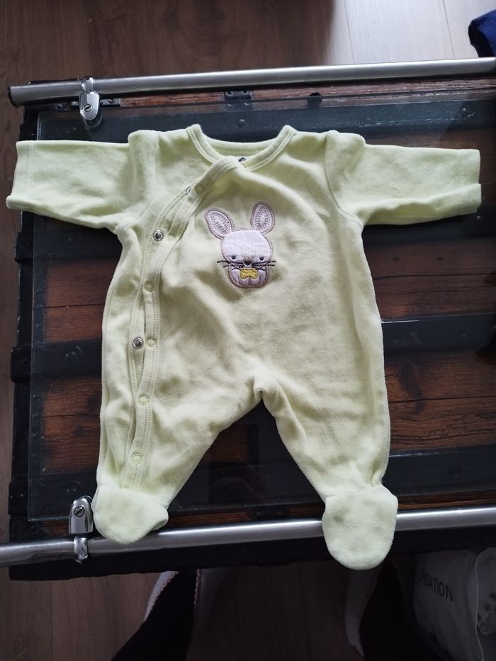 Grenouillère - photo numéro 3