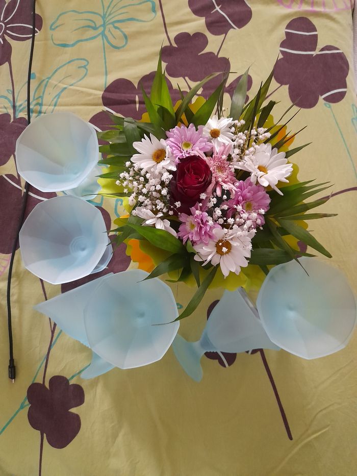 Ramequins à glace ou crème  couleur vert d eau