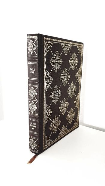 Livre "la vie devant soi" Émile Ajar