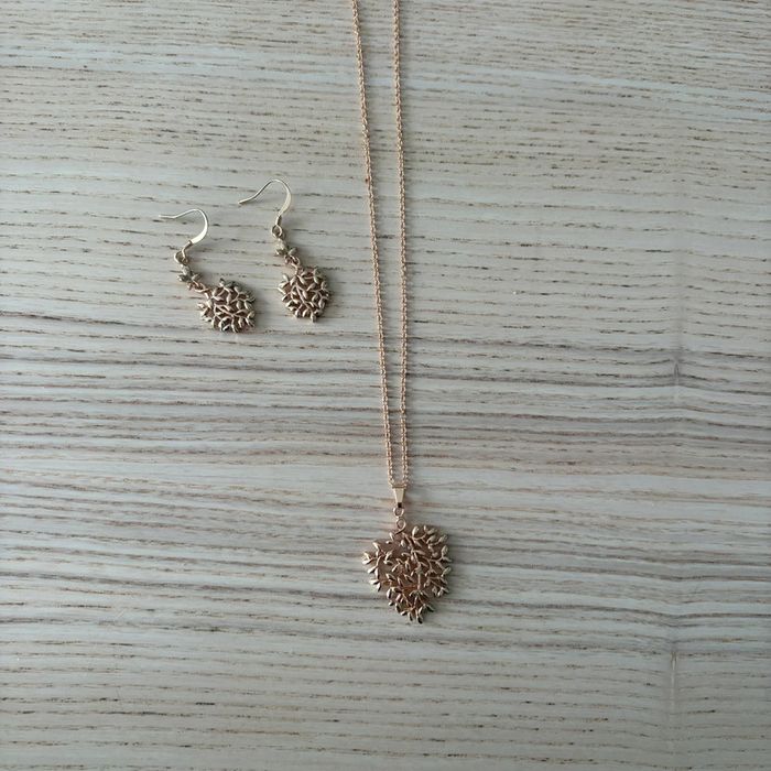Ensemble boucles d’oreilles et collier • rose doré 🌿