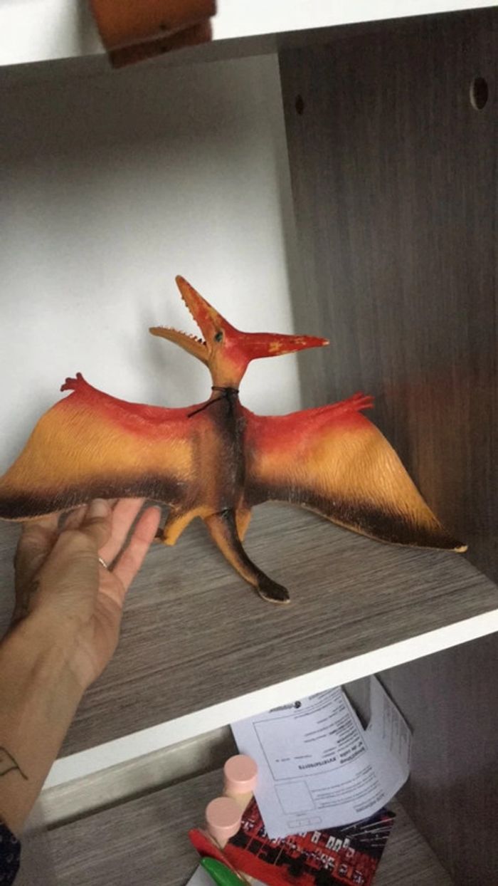 Dinosaure avec ailes - photo numéro 3